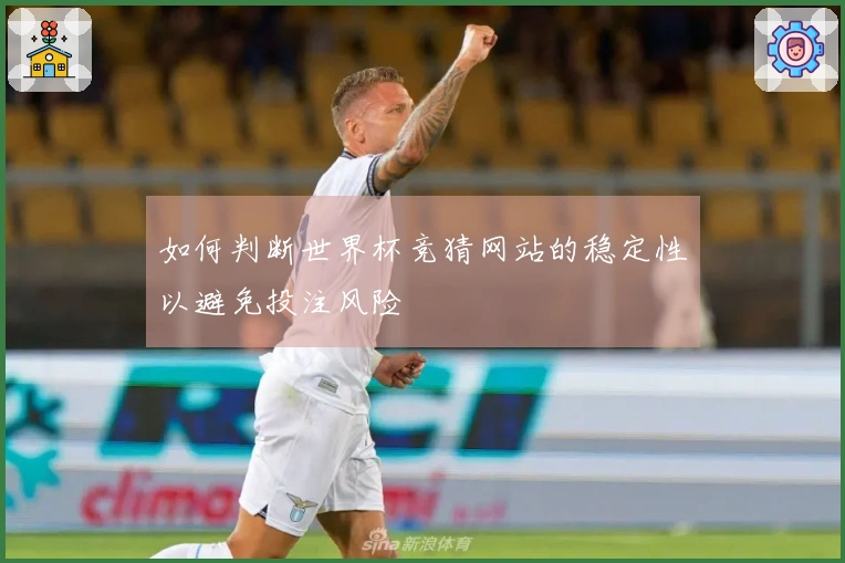 如何判断世界杯竞猜网站的稳定性以避免投注风险