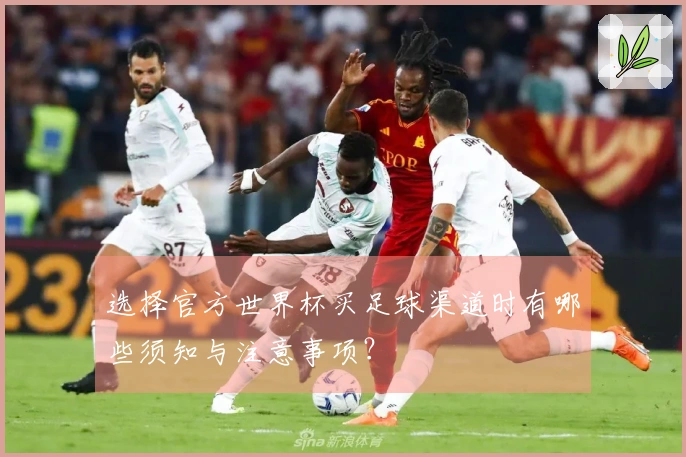选择官方世界杯买足球渠道时有哪些须知与注意事项？